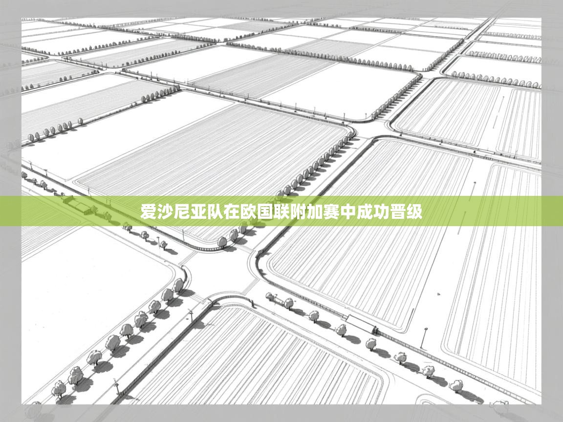 爱沙尼亚队在欧国联附加赛中成功晋级