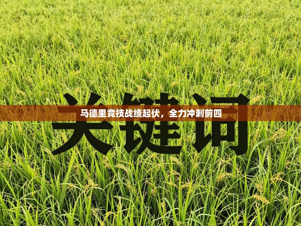 马德里竞技战绩起伏,全力冲刺前四 第2张