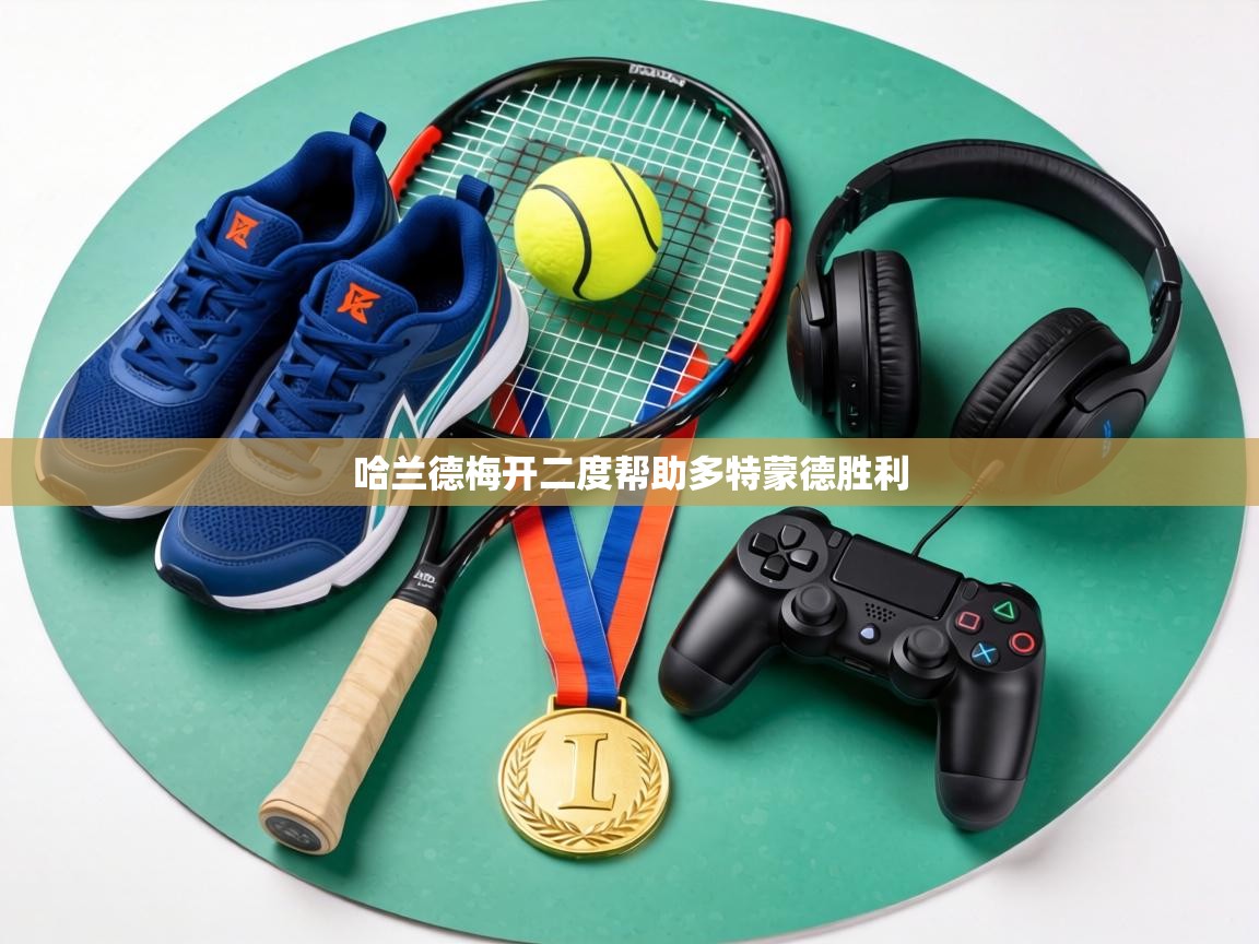 哈兰德梅开二度帮助多特蒙德胜利  第2张